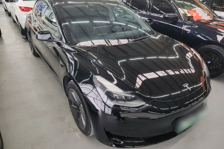Tesla Model 3 2021 immagine di auto #4