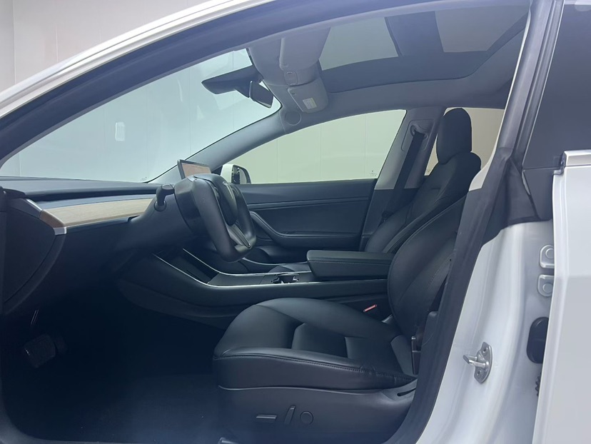 Tesla Model 3 2020 car image #7