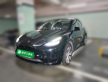 Tesla Model Y 2023 Tesla Model Y 2023 car image