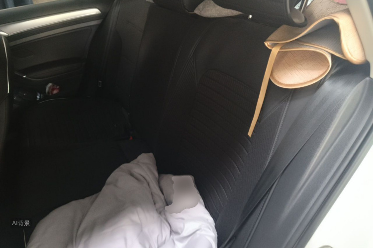Volkswagen Golf 2020 car image #19