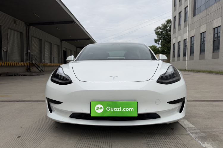 Tesla Model 3 2020 car image #4