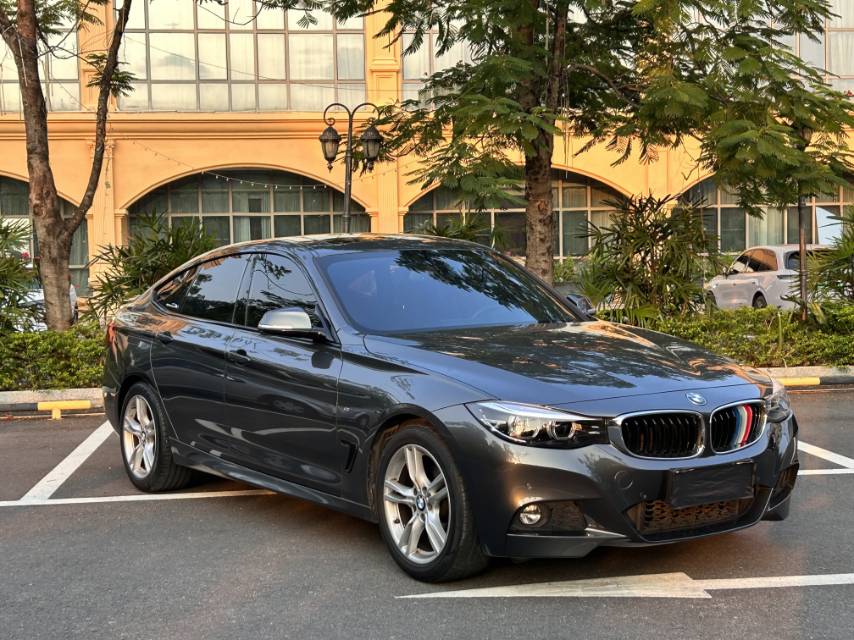 BMW 3 Series GT 2019 #3 BMW 3 Series GT 2019 car image #3
