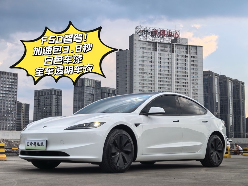 Tesla Model 3 2025 car image 