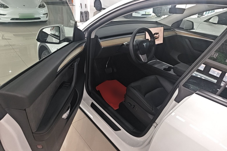 Tesla Model Y 2022 car image #16