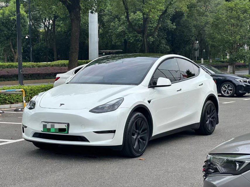 Tesla Model Y 2024 car image 