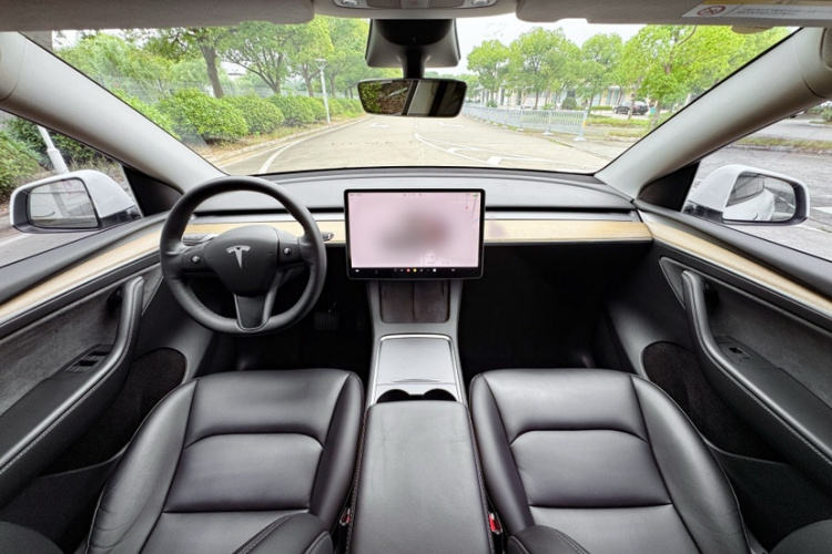 Tesla Model Y 2022 car image #9