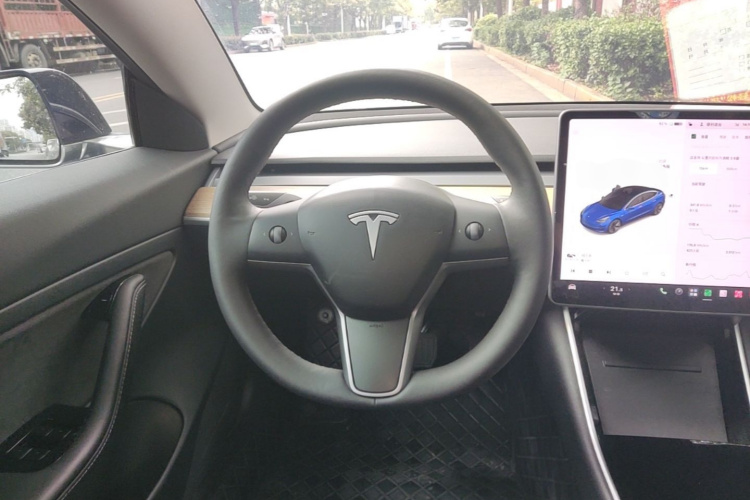 Tesla Model 3 2020 صورة سيارة #11