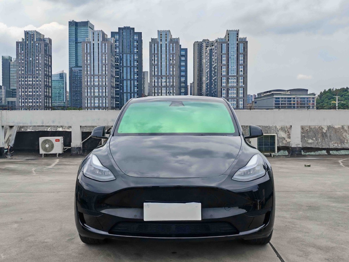 Tesla Model Y 2024 immagine di auto #2
