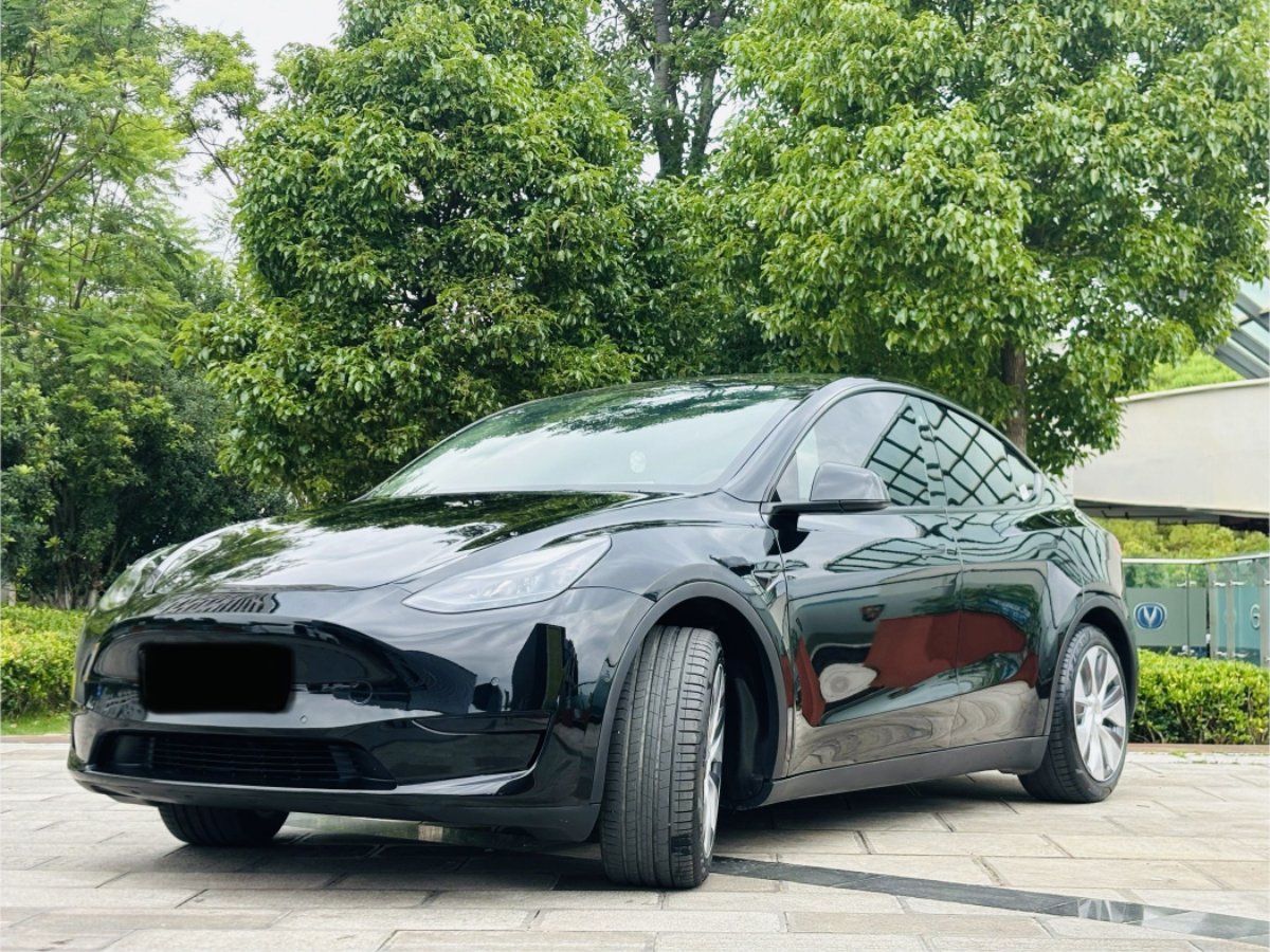 Tesla Model Y 2023 car image 