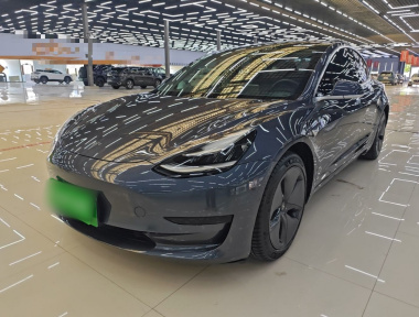 Tesla Model 3 2020 Tesla Model 3 2020 car image