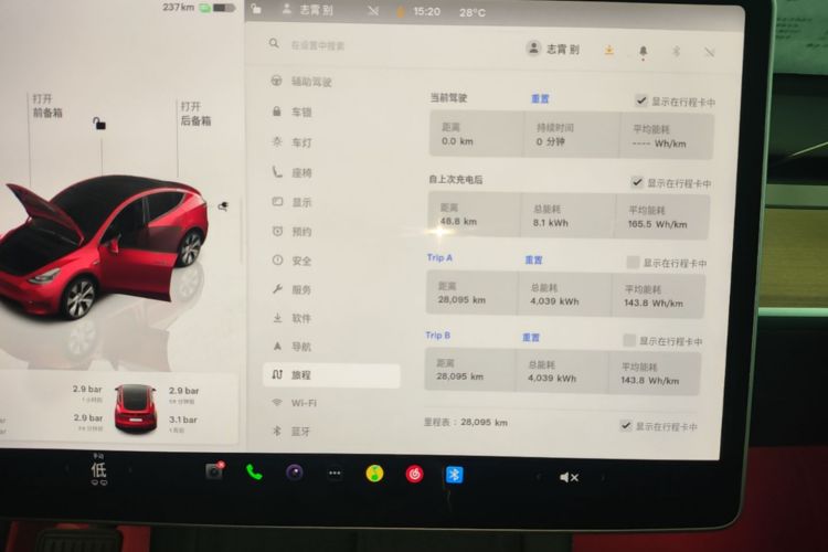 Tesla Model Y 2023 car image #12