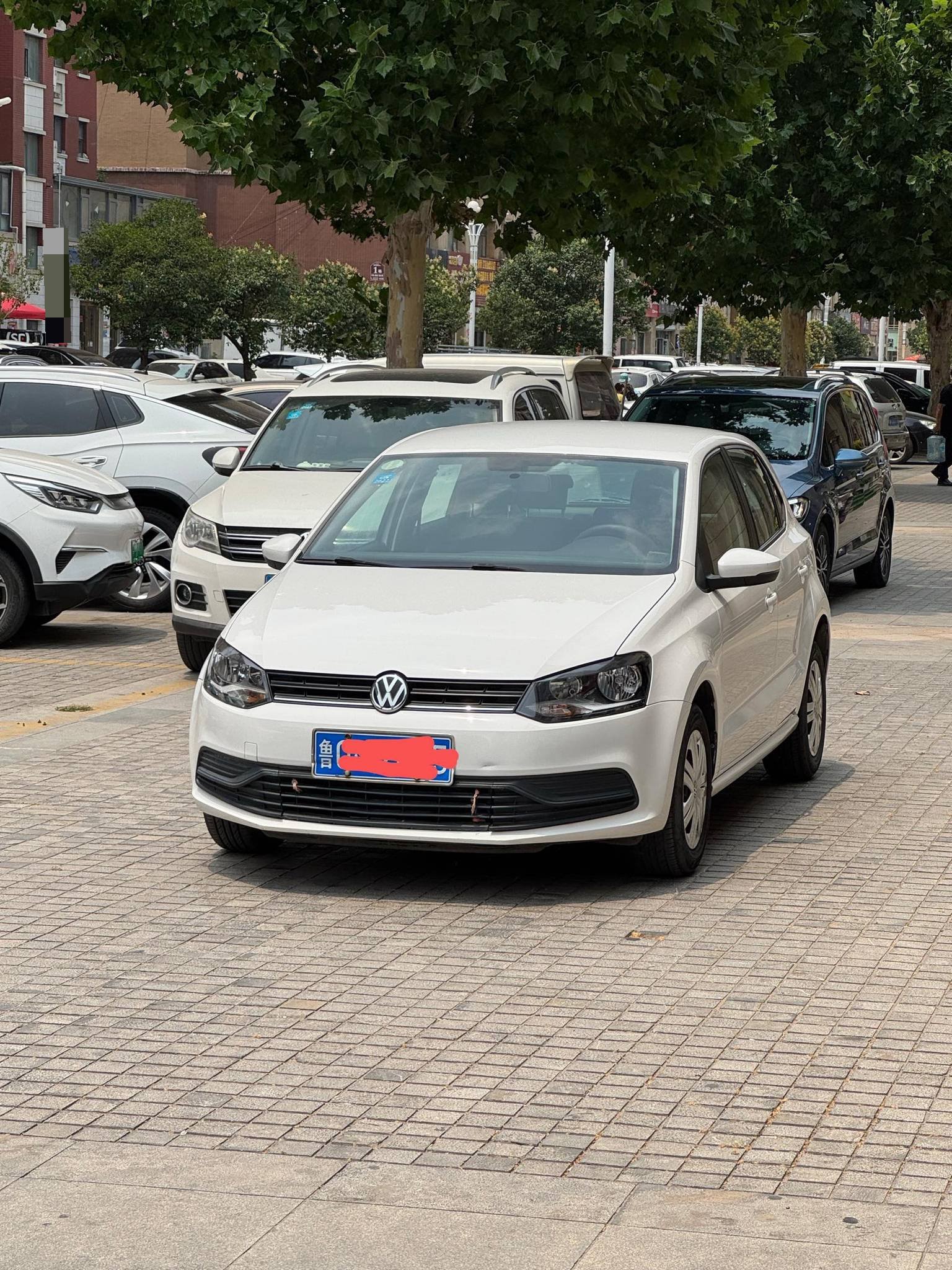 Volkswagen Polo 2016 Volkswagen Polo 2016 car image