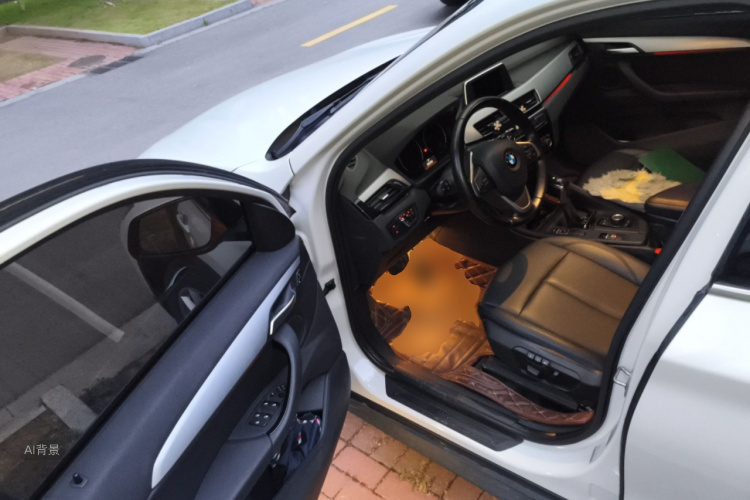 BMW X1 2018 car image #18