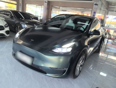 Tesla Model Y 2021 car image 