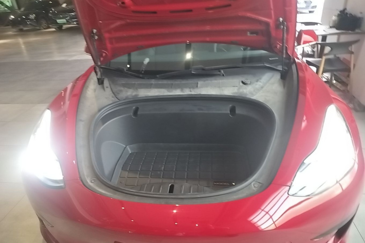 Tesla Model 3 2020 immagine di auto #20