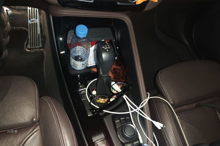 BMW X1 2019 car image #16