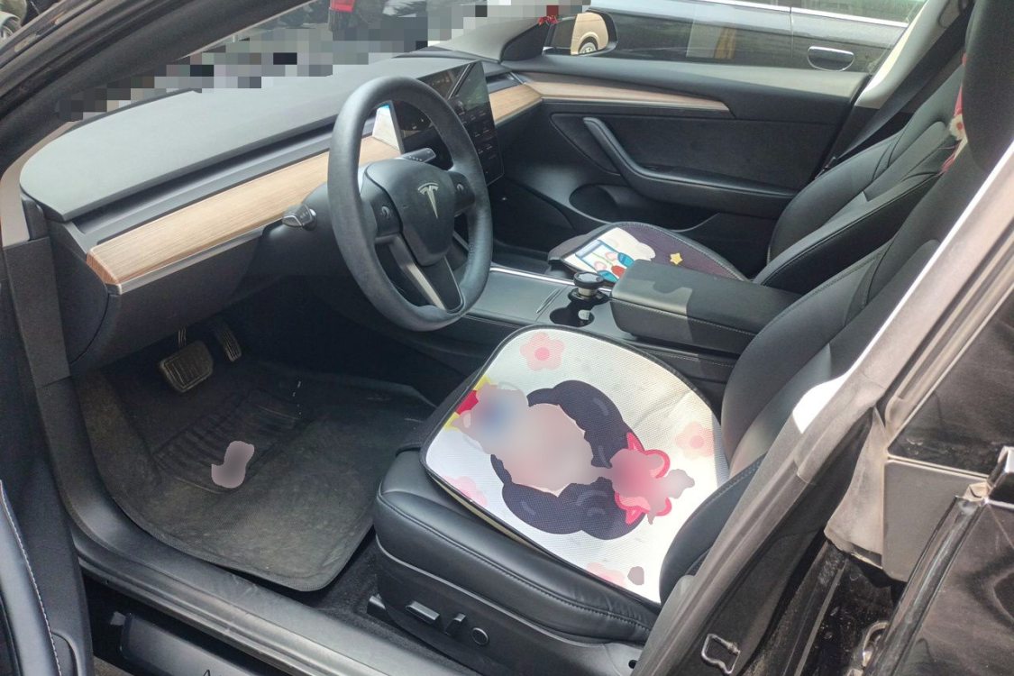 Tesla Model 3 2022 #20 Tesla Model 3 2022 car image #20
