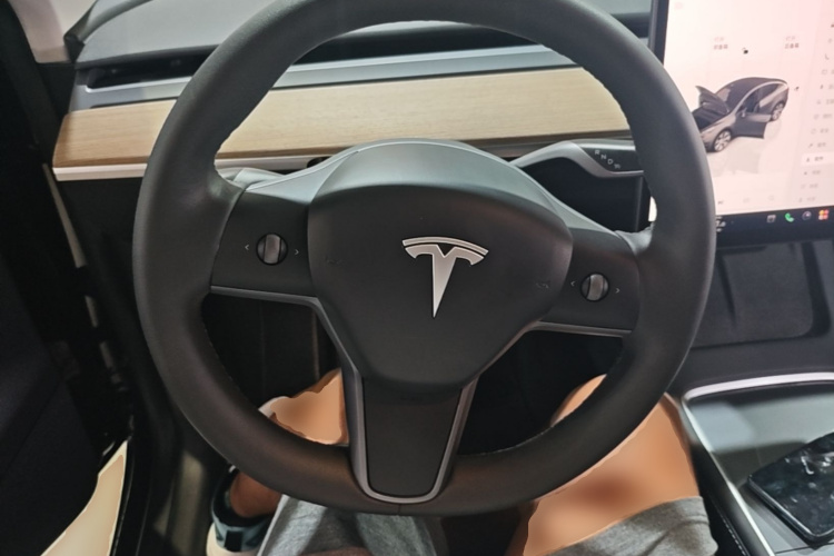 Tesla Model Y 2022 immagine di auto #11