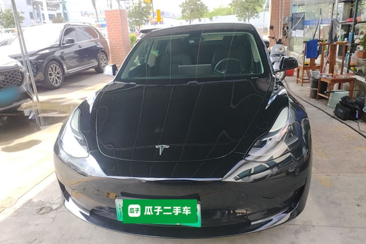 Tesla Model 3 2021 #3 Tesla Model 3 2021 car image #3