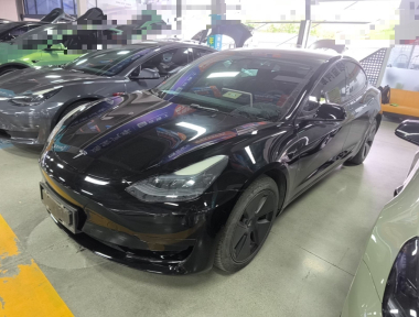 Tesla Model 3 2023 Tesla Model 3 2023 car image