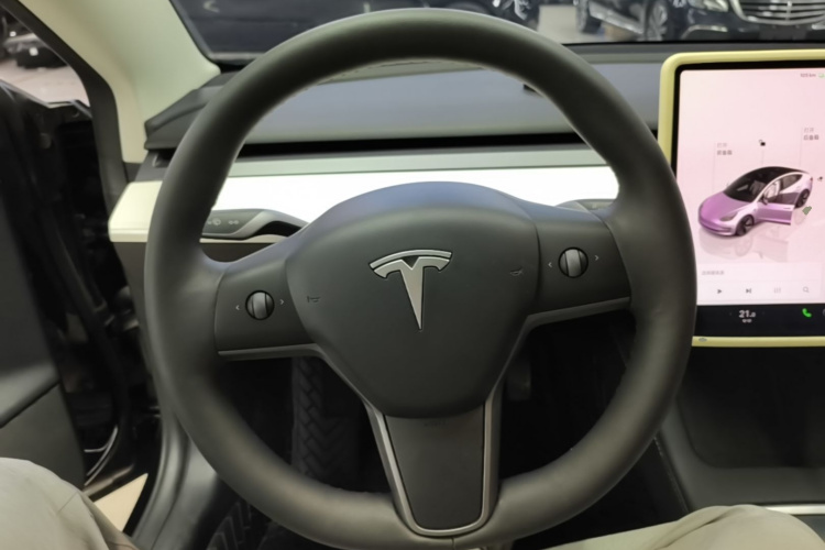 Tesla Model 3 2023 #11 Tesla Model 3 2023 car image #11