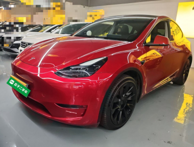 Tesla Model Y 2023 Tesla Model Y 2023 car image