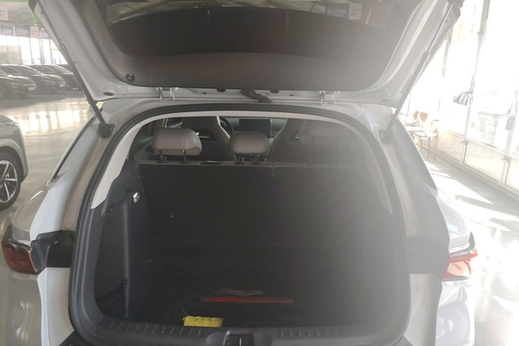 BYD Yuan Plus 2024 immagine di auto #21