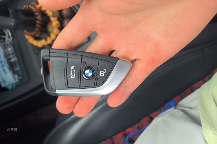 BMW X1 2016 car image #10