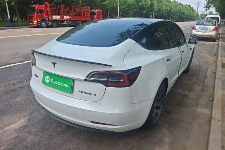 Tesla Model 3 2020 car image #7