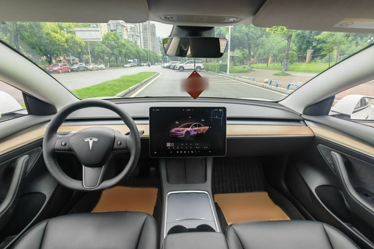 Tesla Model 3 2023 car image #10
