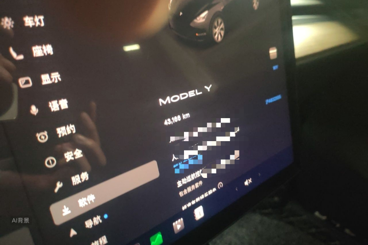Tesla Model Y 2022 car image #14