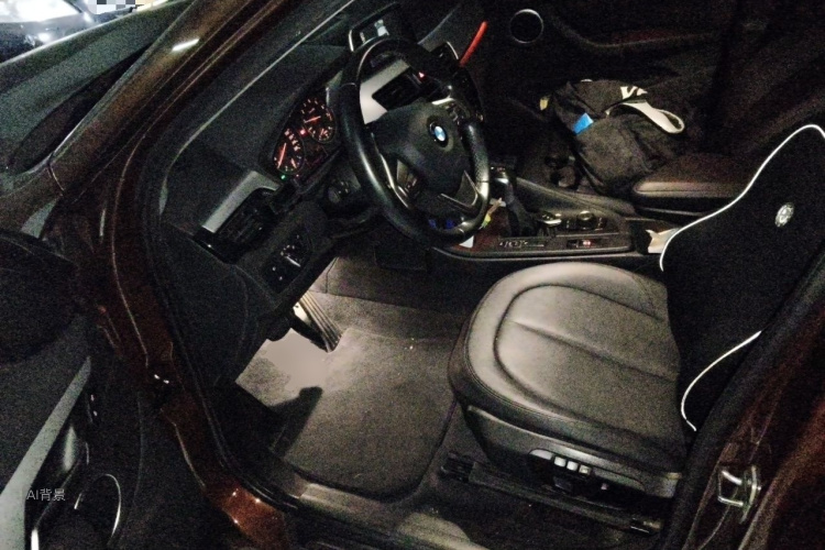 BMW X1 2017 #18 BMW X1 2017 car image #18