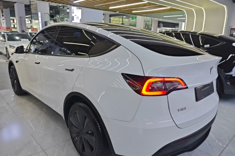 Tesla Model Y 2023 car image #7
