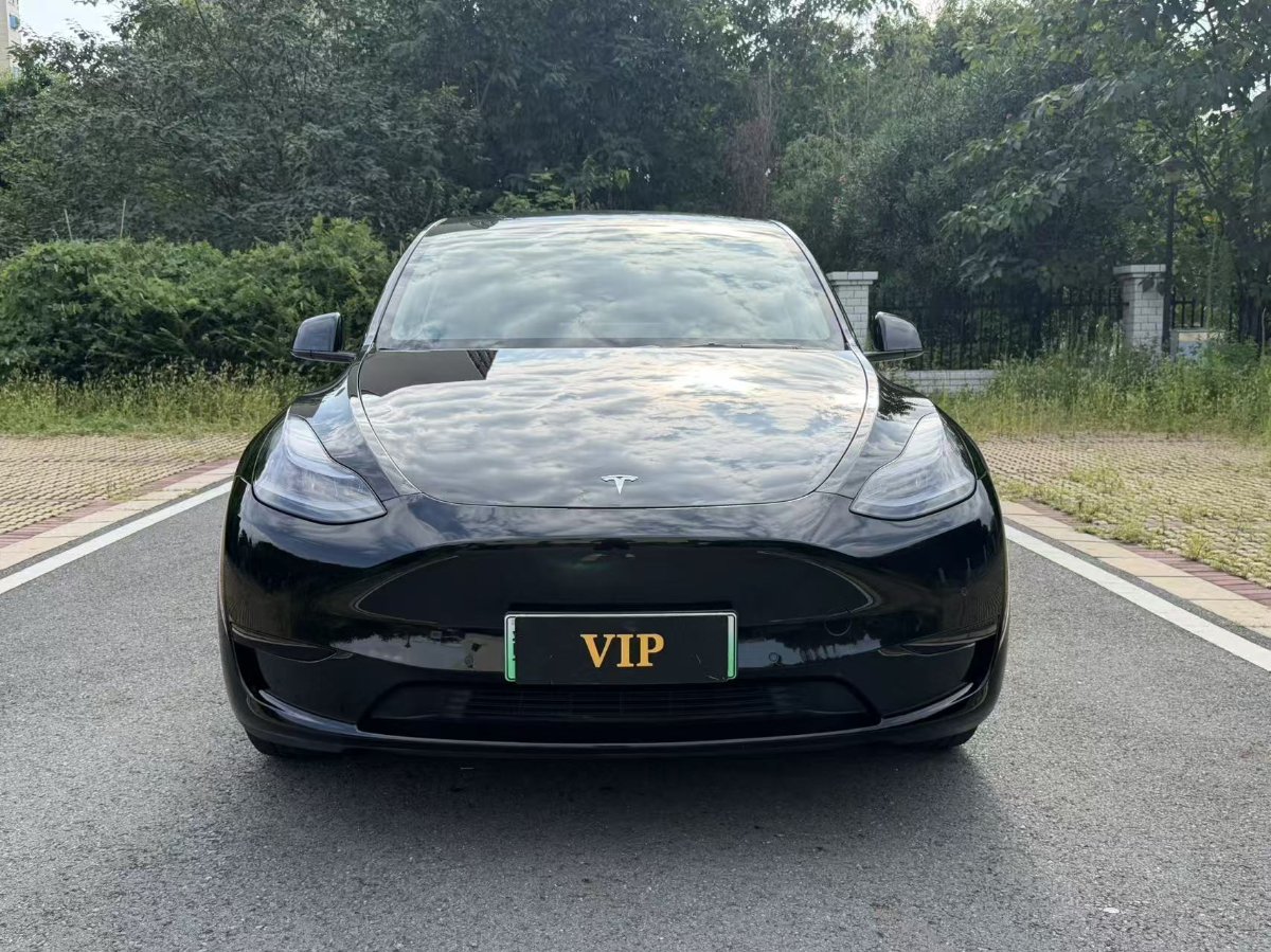 Tesla Model Y 2023 car image #2
