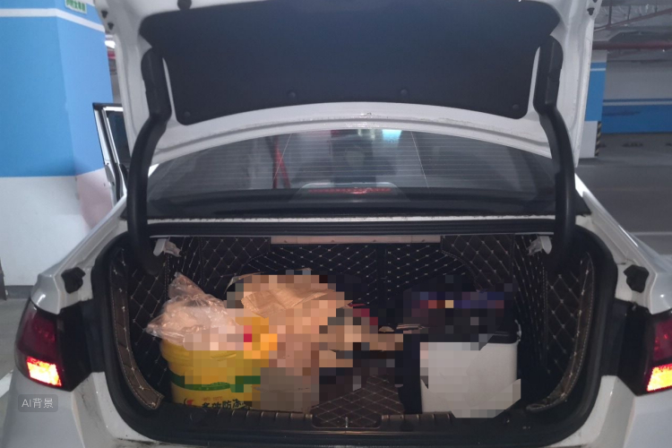 GEELY Emgrand GL 2020 car image #21