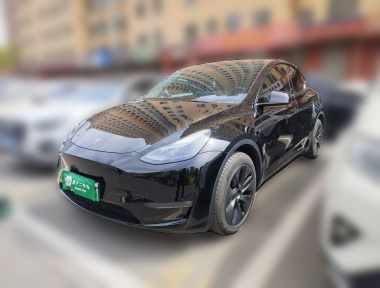 Tesla Model Y 2024 Tesla Model Y 2024 car image