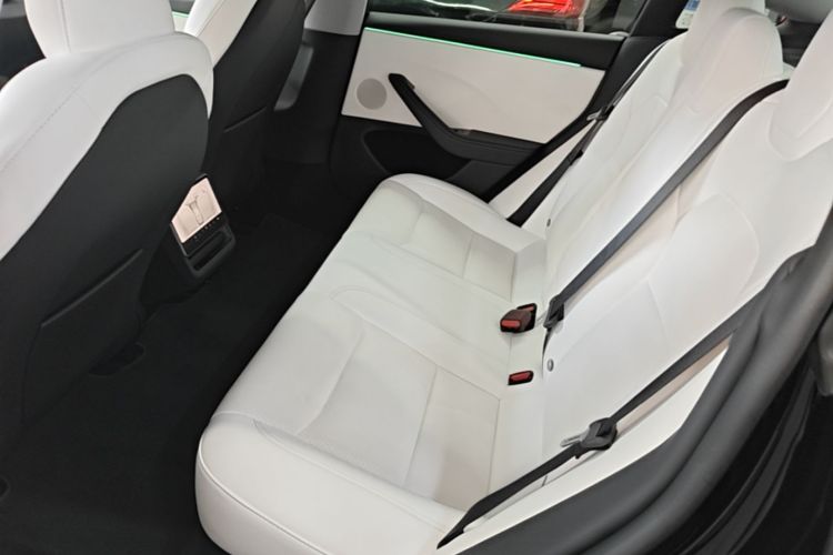 Tesla Model 3 2023 car image #17