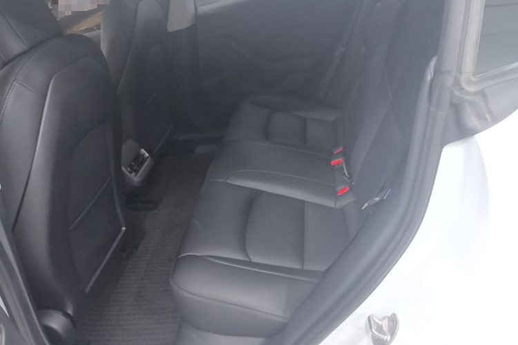 Tesla Model 3 2022 immagine di auto #17