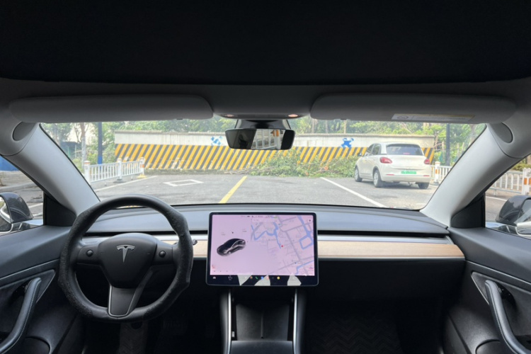 Tesla Model 3 2020 immagine di auto #11