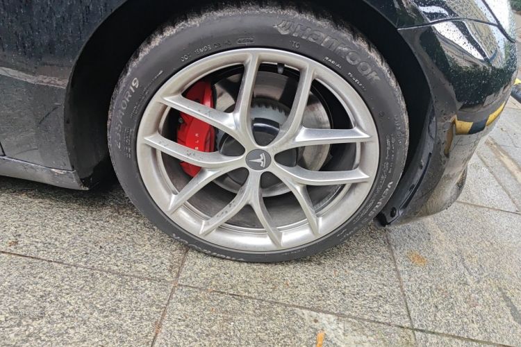 Tesla Model 3 2021 immagine di auto #9