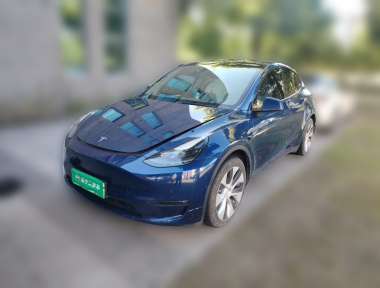 Tesla Model Y 2021 Tesla Model Y 2021 car image