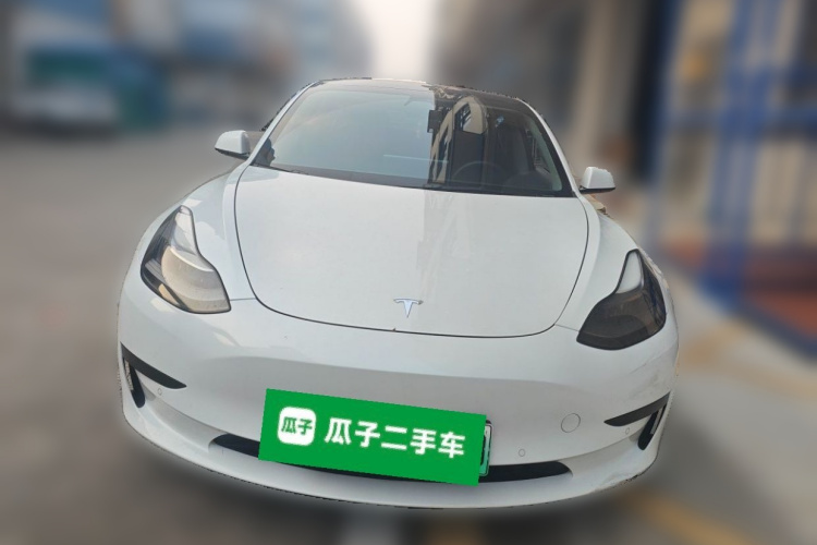 Tesla Model 3 2021 #3 Tesla Model 3 2021 car image #3