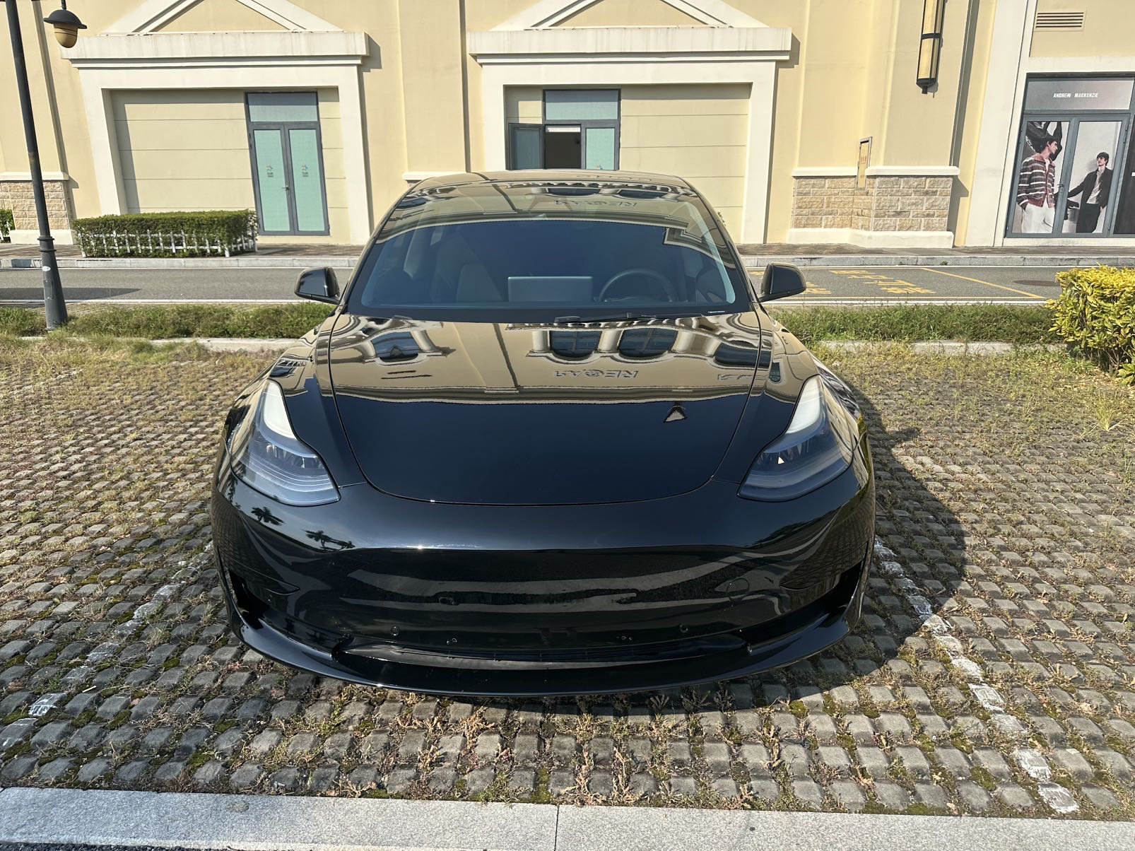 Tesla Model 3 2021 #2 Tesla Model 3 2021 car image #2
