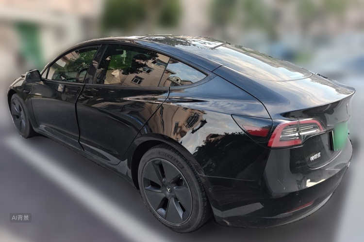 Tesla Model 3 2022 car image #5