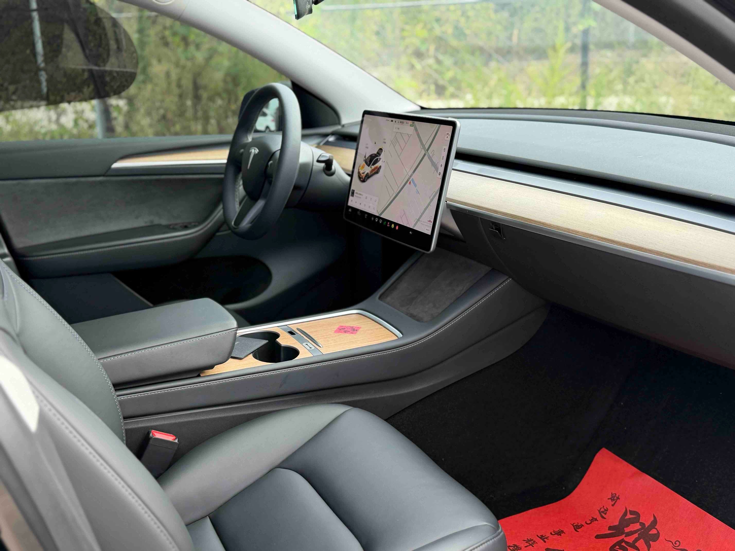 Tesla Model Y 2024 car image #9