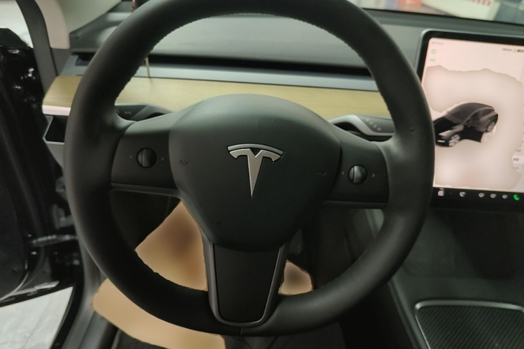 Tesla Model Y 2022 #15 Tesla Model Y 2022 car image #15
