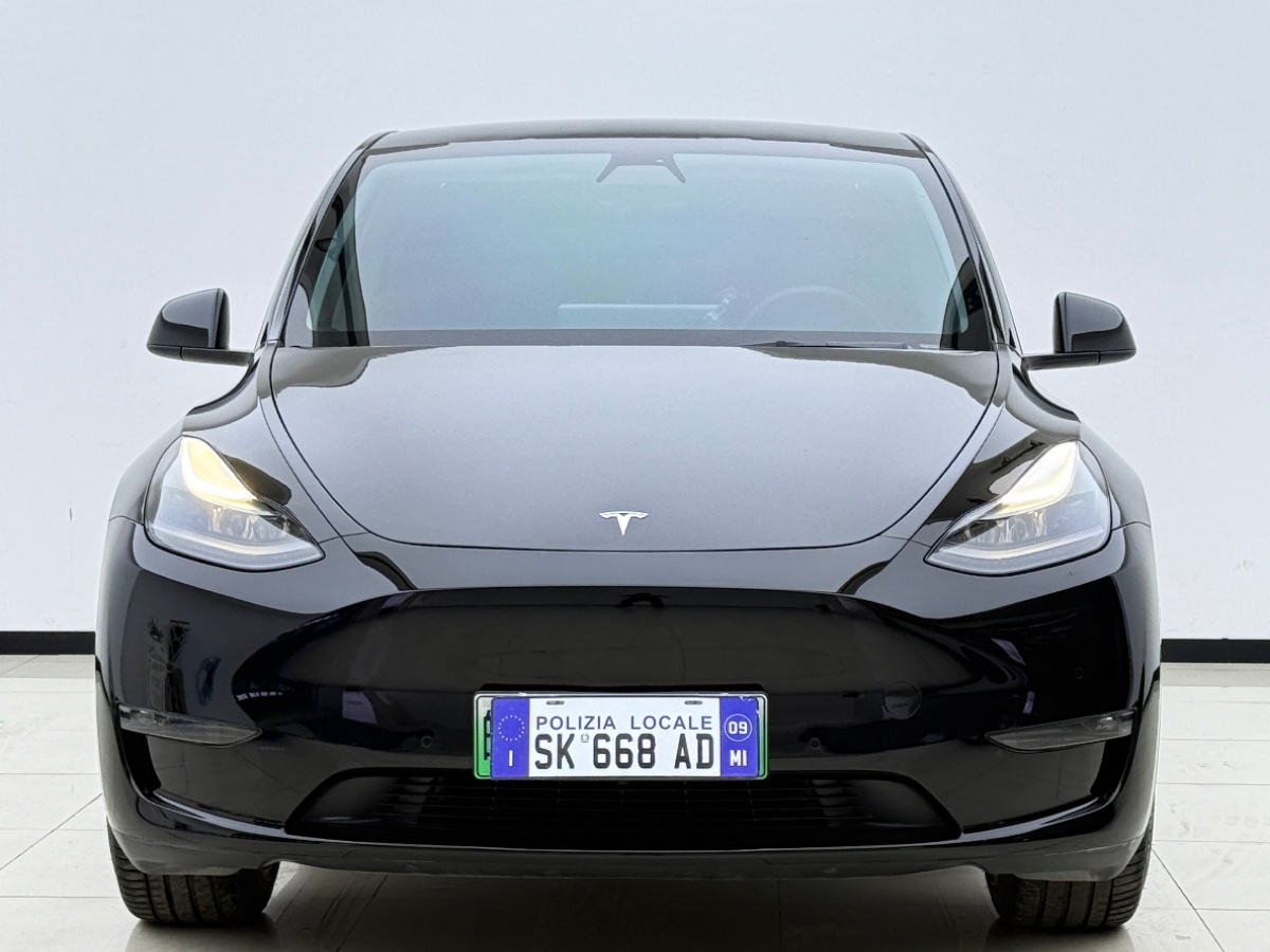 Tesla Model Y 2021 #2 Tesla Model Y 2021 car image #2