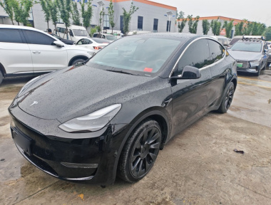 Tesla Model Y 2021 car image 