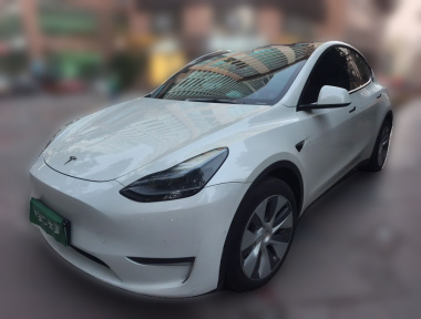 Tesla Model Y 2023 Tesla Model Y 2023 car image