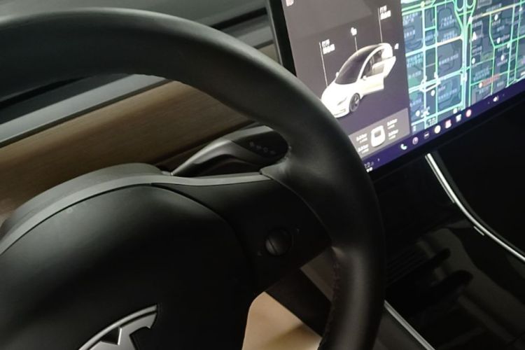 Tesla Model 3 2020 car image #15